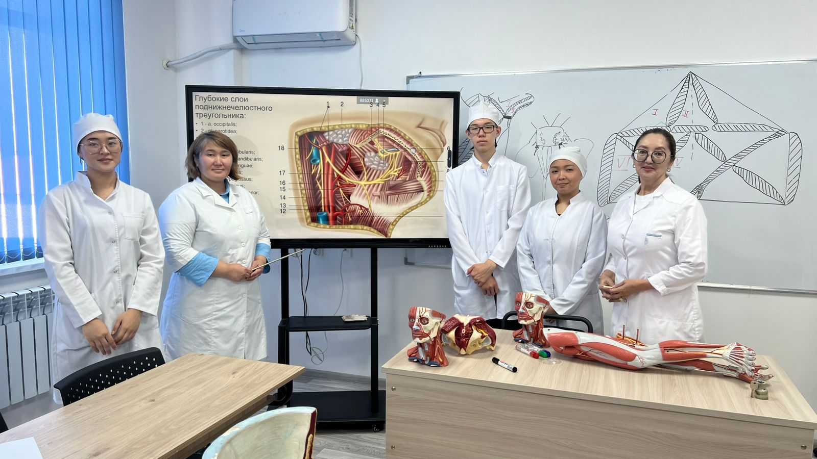 Летняя школа по анатомии прошла в Медицинском университете Астана