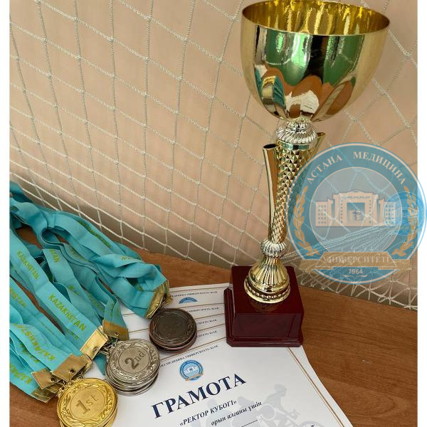 Кубок ректора по волейболу
